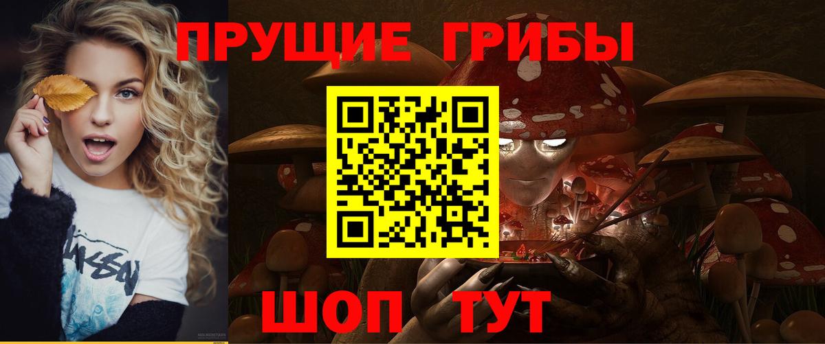 Галлюциногенные грибы Psilocybine cubensis Сокол